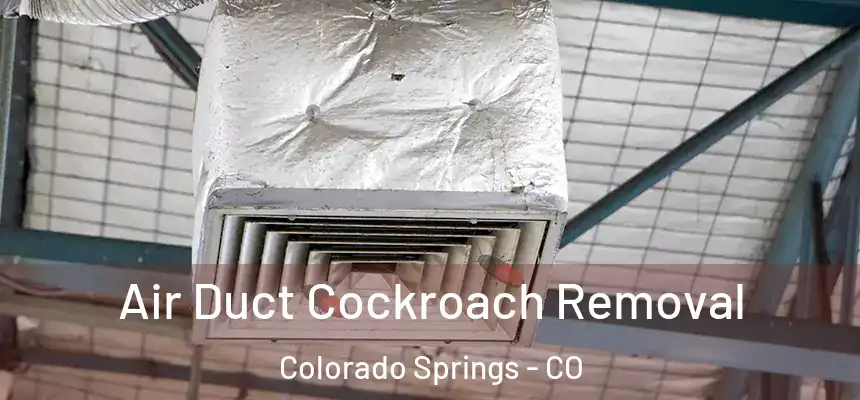  Air Duct Cockroach Removal Colorado Springs - CO