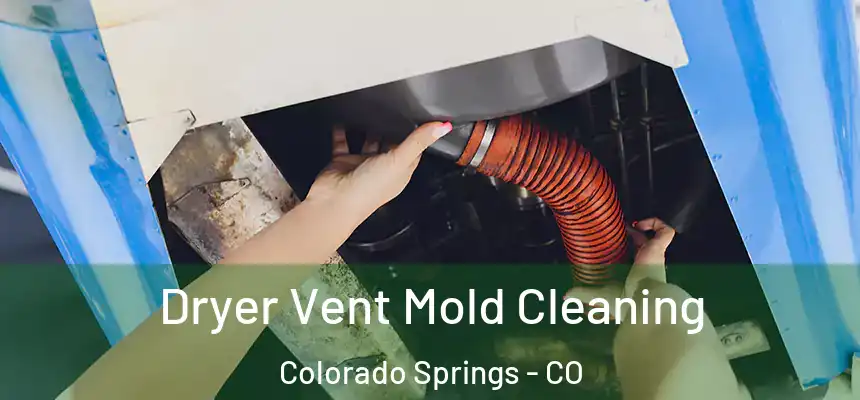 Dryer Vent Mold Cleaning Colorado Springs - CO