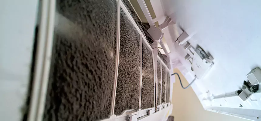 Preventive Air Duct Bacteria Removal in Colorado Springs