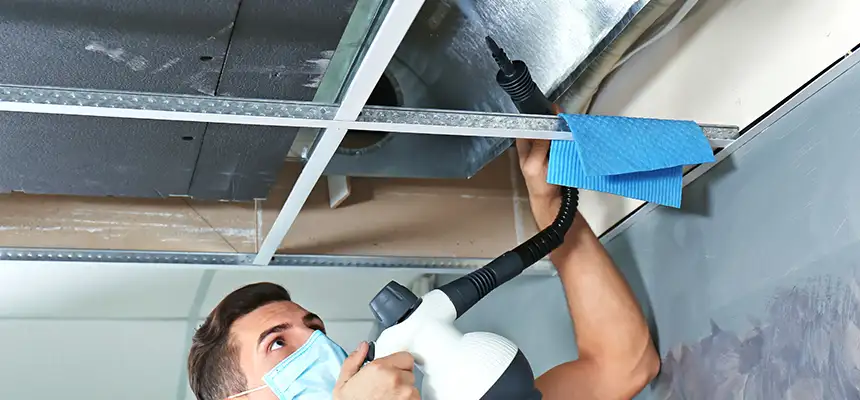 Our Air Duct Rodent Removal Services in Colorado Springs, CO