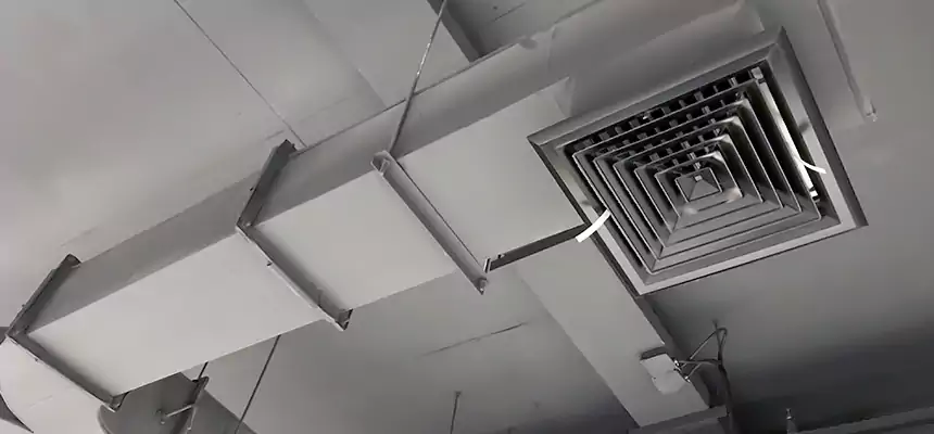 Restorative Allergy Relief Vent Cleaning – Coil, Blower & Housing Detail in Colorado Springs