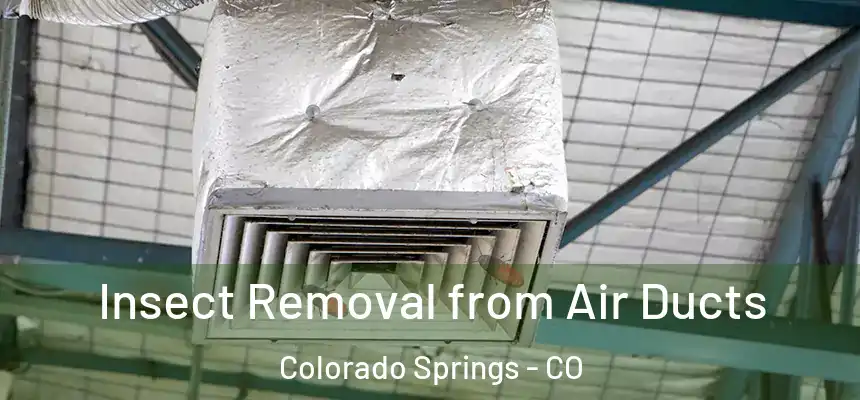 Insect Removal from Air Ducts Colorado Springs - CO