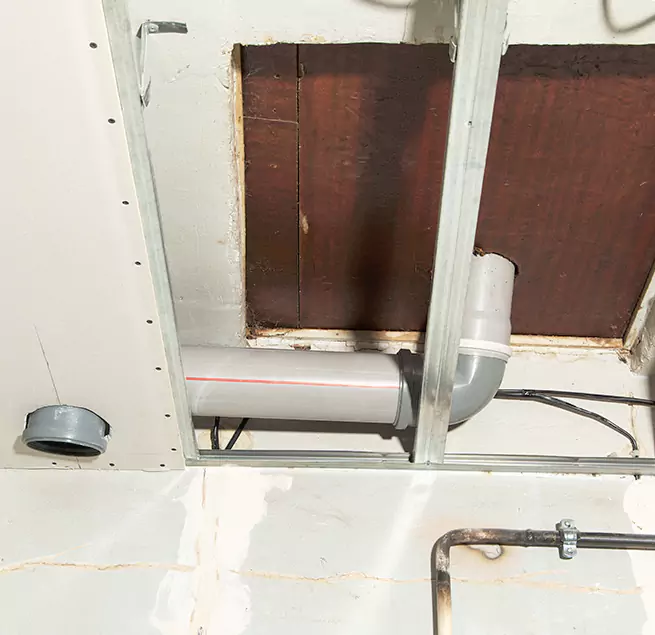 Why Homeowners & Businesses Trust Us in Colorado Springs, CO?