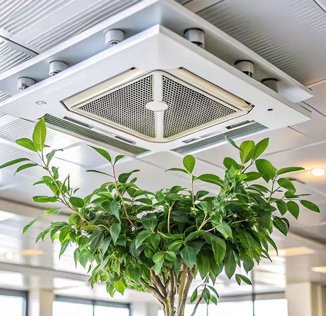 Why Homeowners & Businesses Trust Us in Colorado Springs, CO?