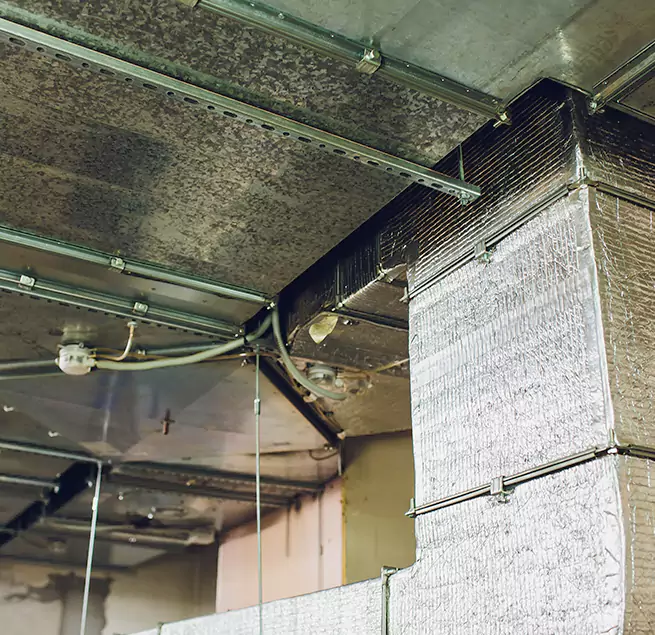 Why Homeowners & Businesses Trust Us in Colorado Springs, CO?